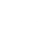 bizu